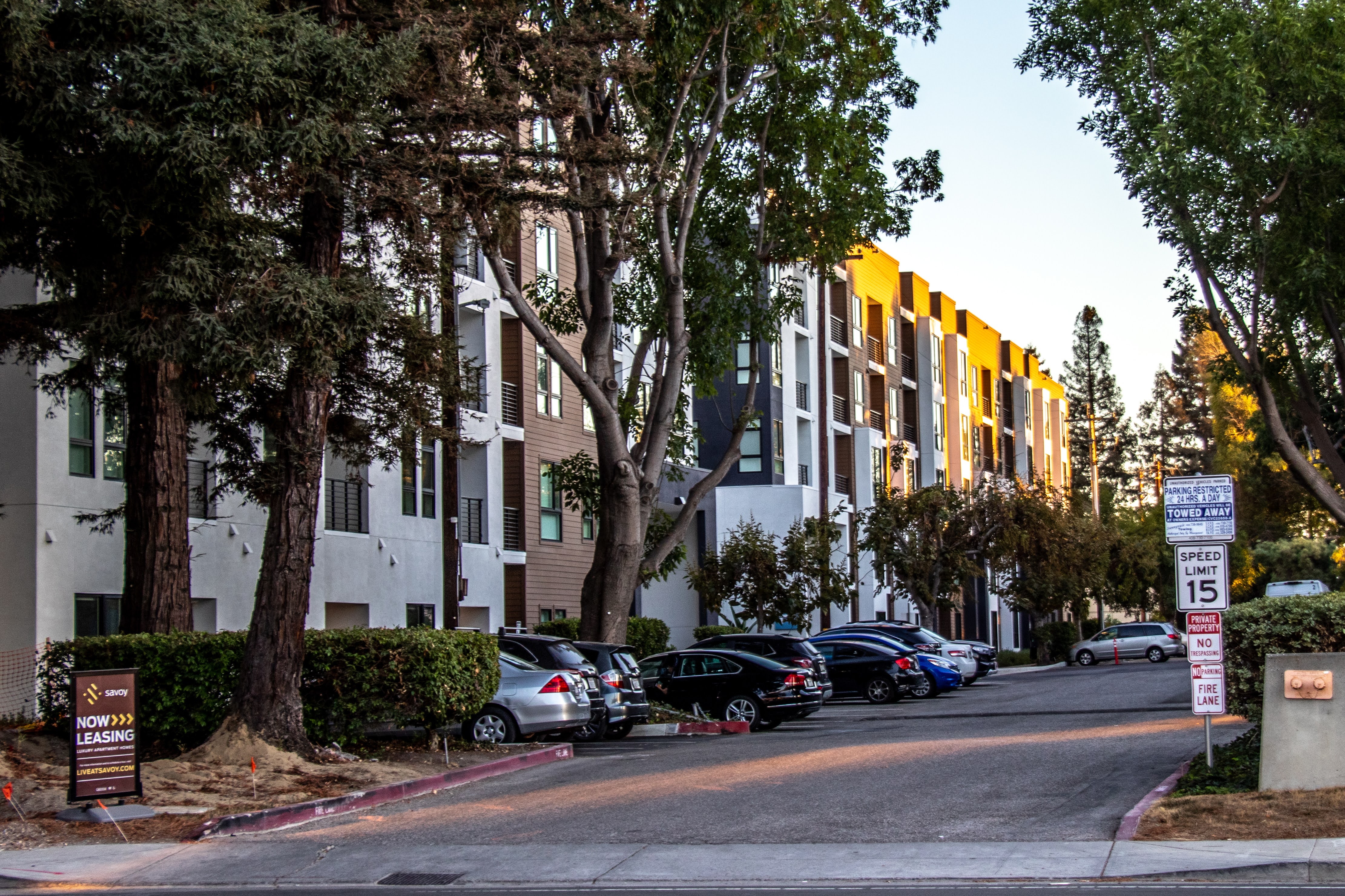 Apartment Listings in Sunnyvale