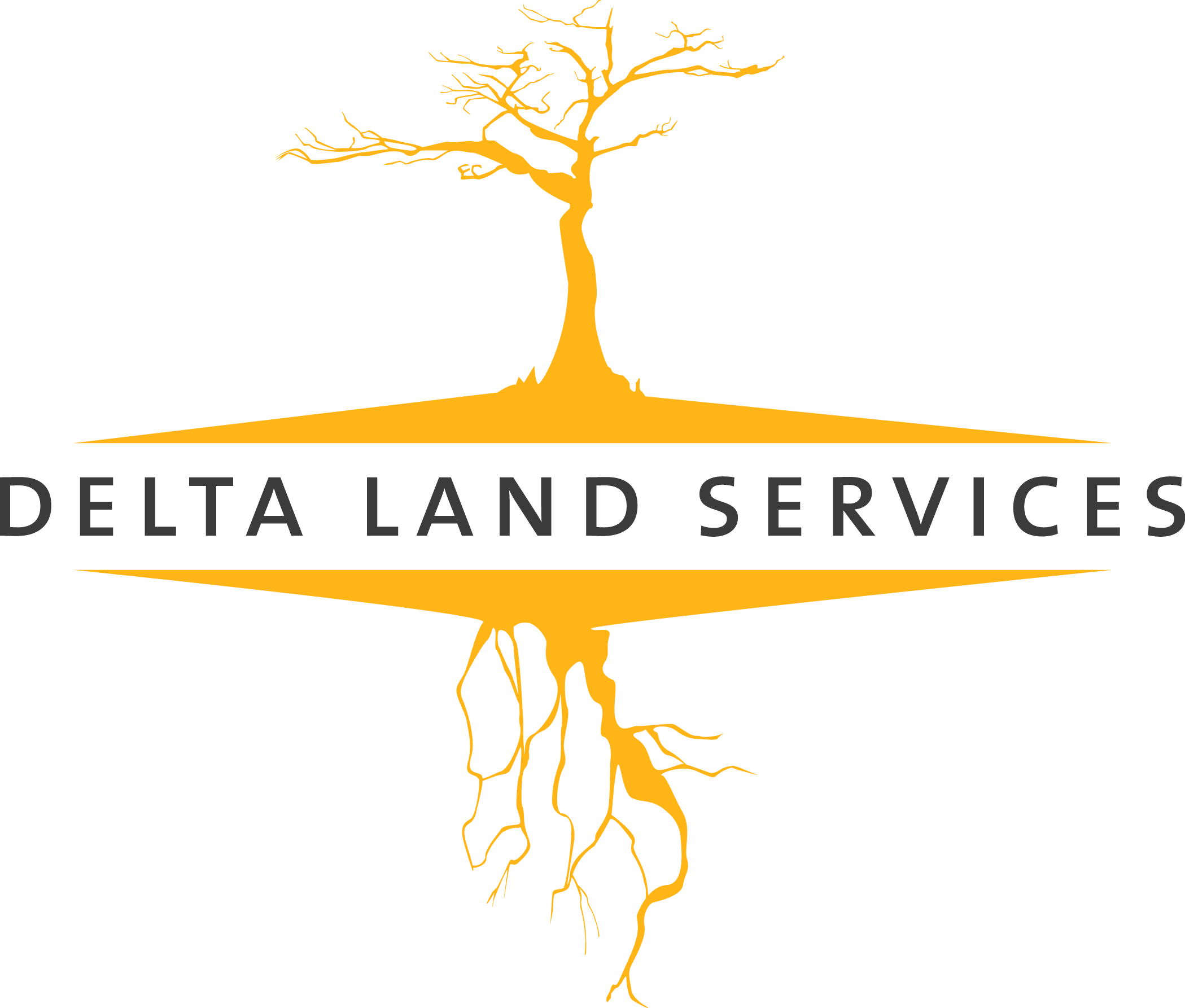 Delta Land Services_Logo_HiRes