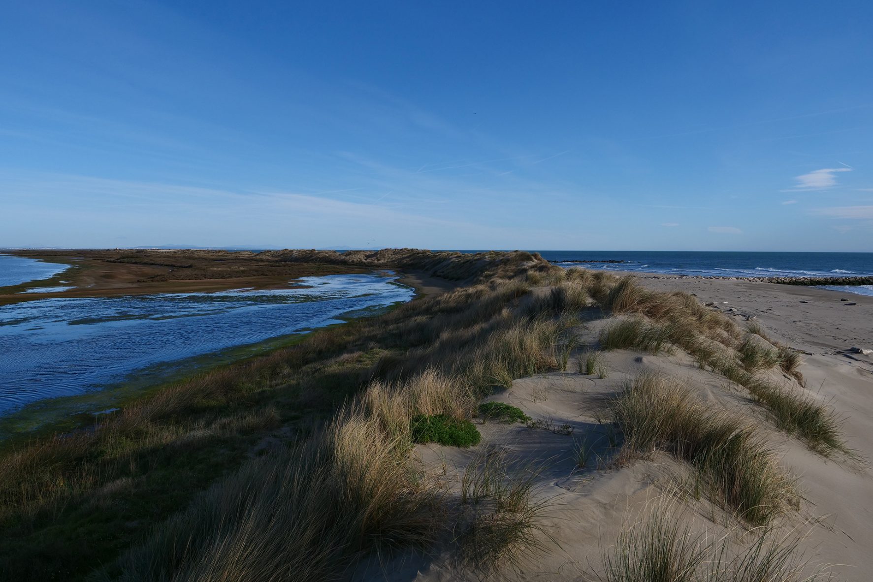 Camargue restored wetlands, France.© Tour du Valat