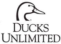 ducks smaller