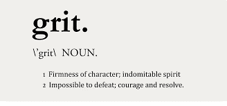Grit dictionary meaning