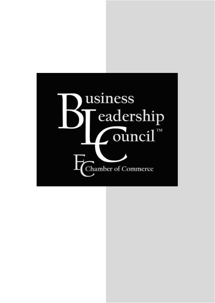 BLC logo w grey stripe