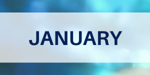 January Stat Image
