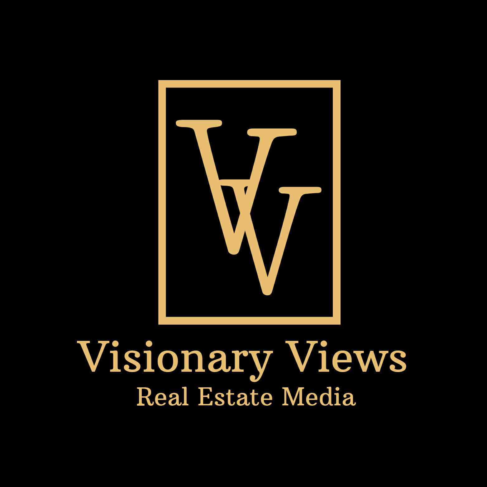 Visionary Views