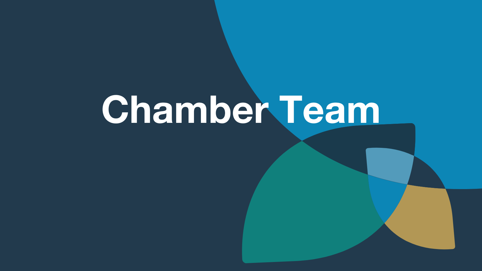 Chamber Team