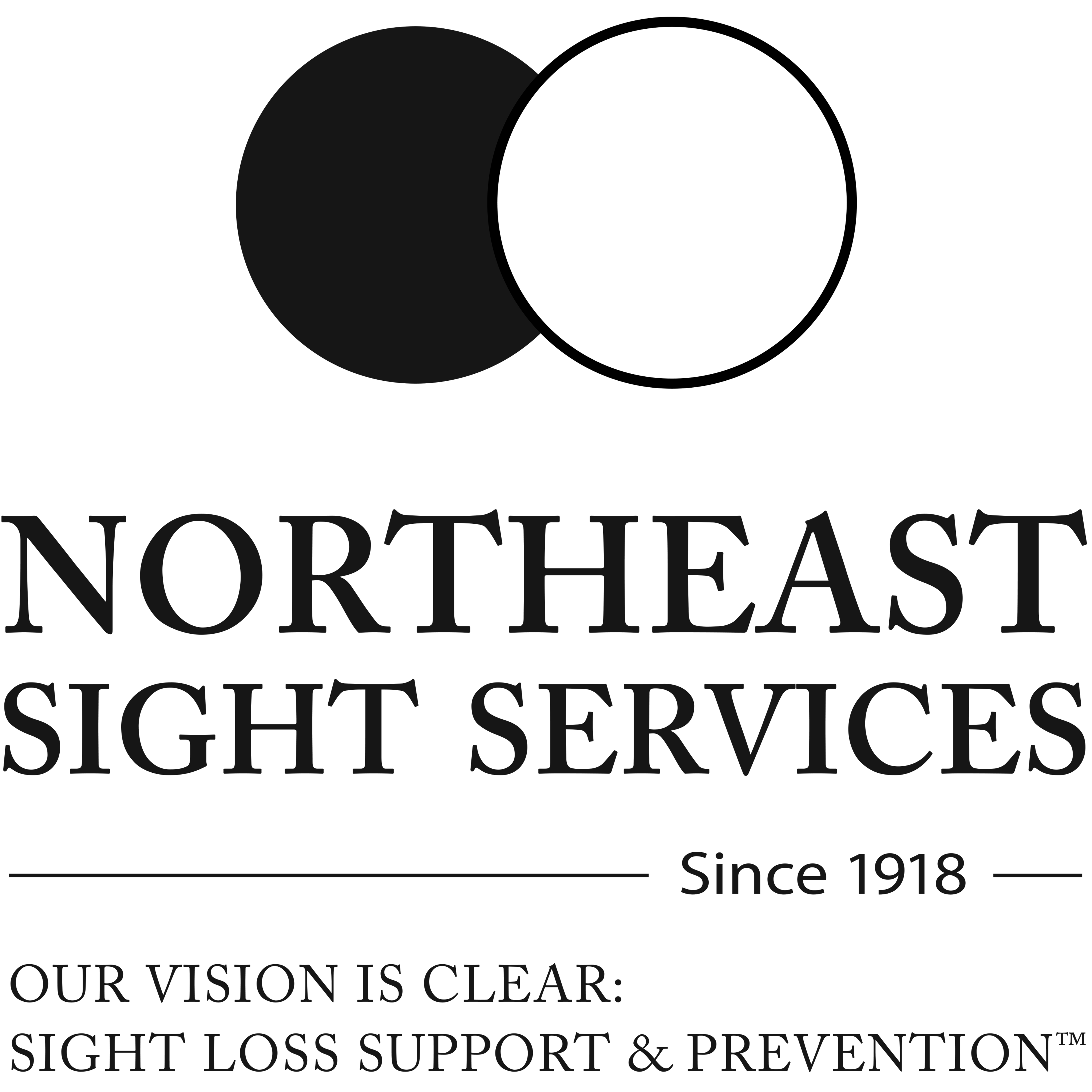 Northeast Sight Services logo