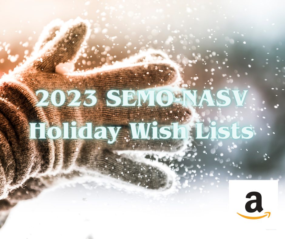 2023 Survivor Holiday Wish Lists (1)