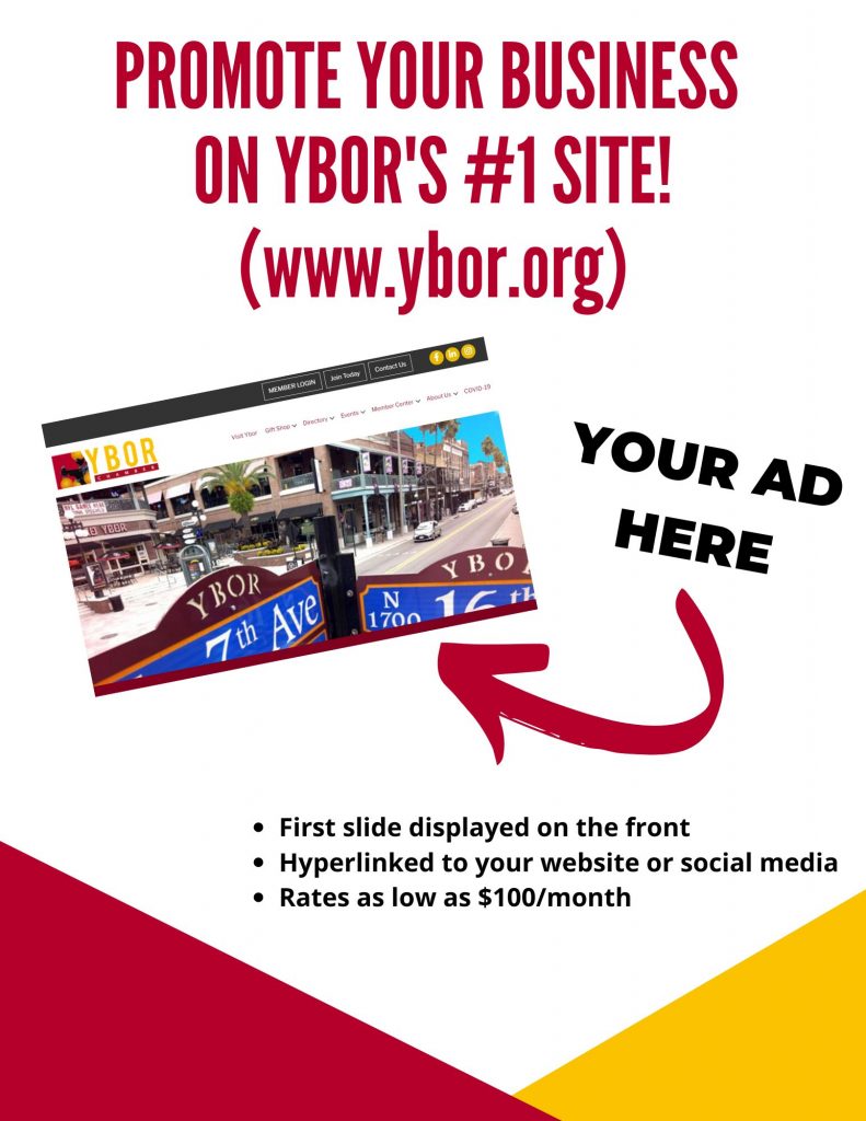 Website Ad Flyer
