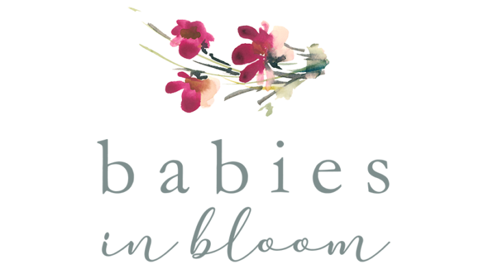 Babies-in-Bloom-Main-Logo-Footer-2-700x400