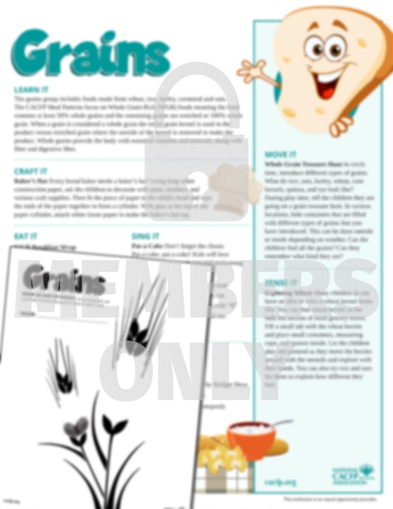 Grains Component Activity Sheet