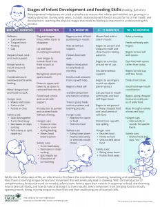 Stages of Infant Dev
