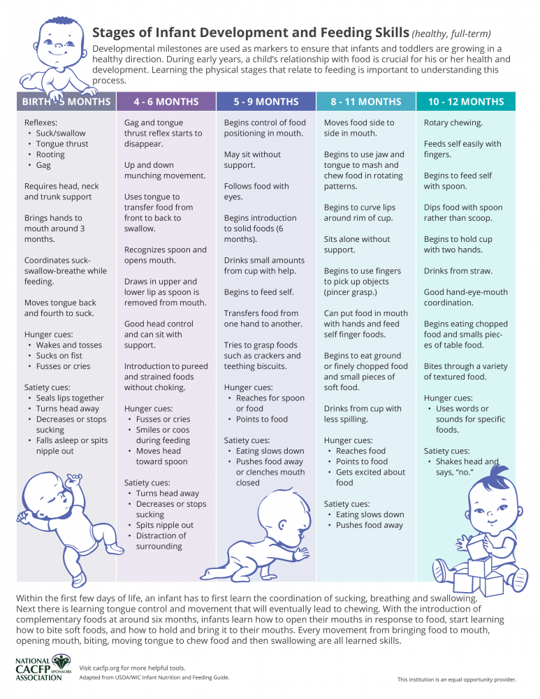 Cacfp Resource Stages Of Infant Development Feeding Skills