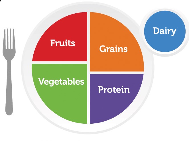 MyPlate_white