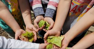 Children holding lettuce leave