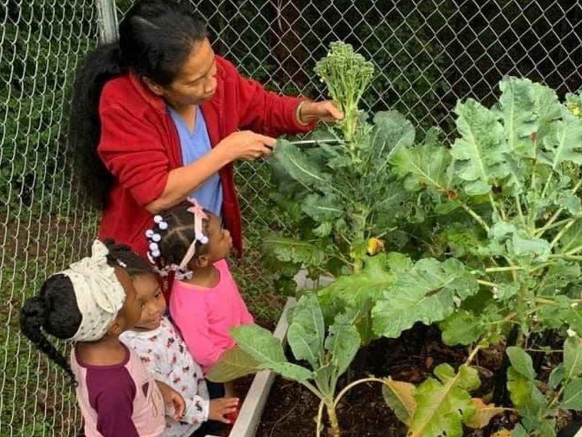 Edelina Lane works on her CACFP garden with her childcare participants