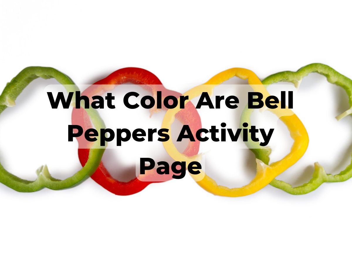 bell pepper activity page 4x3