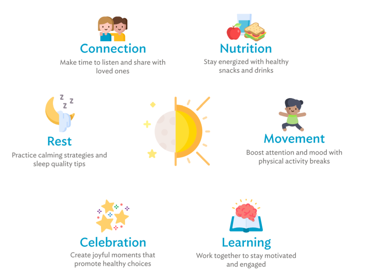 Circular diagram of everything you need to do to have a healthy day