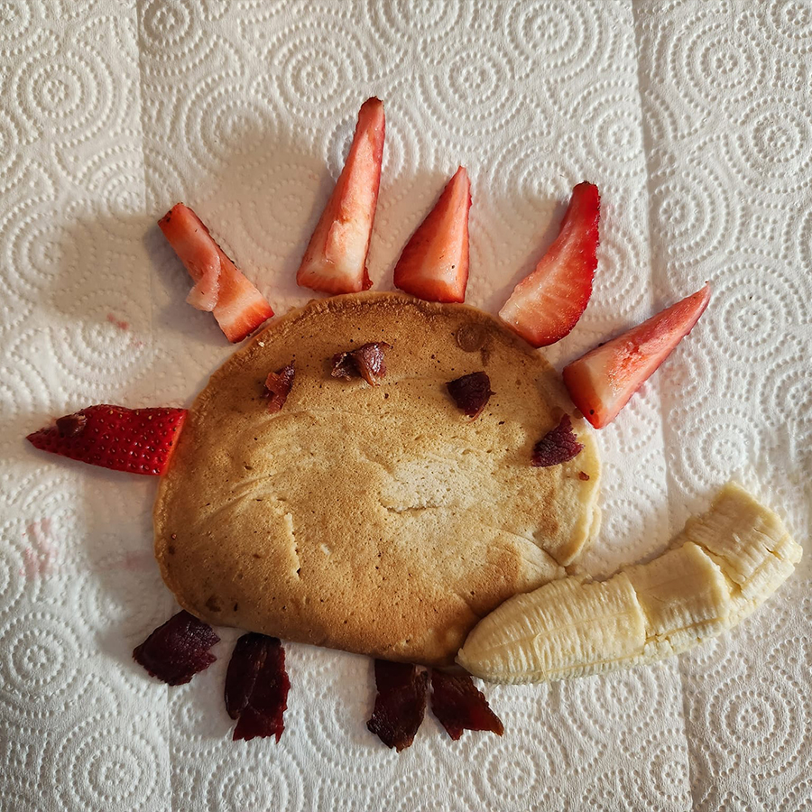 Dobsons Daycare Fruit and Bread Stegosaurus