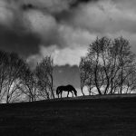 George S. Gati, Horse on the Ridge