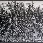 Susa Nawrocki, Landscape 16