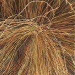 Patricia Carr, Winter Grass #1