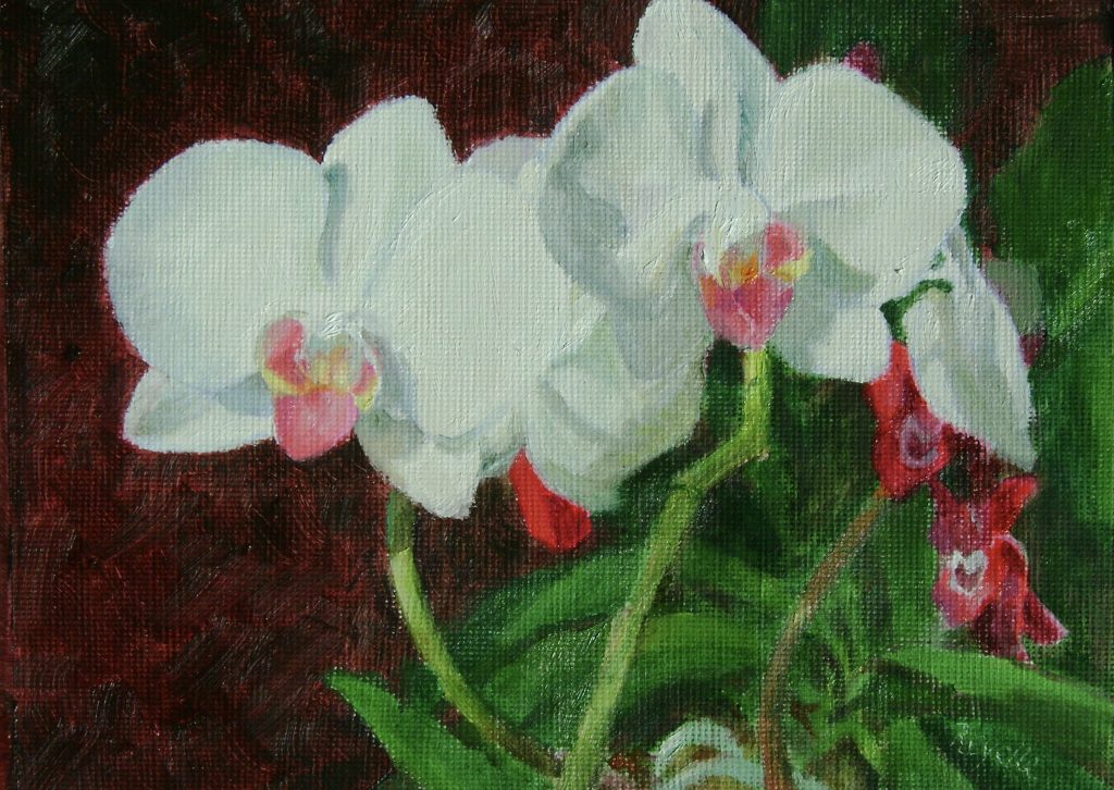 Revelle Hamilton, Orchids