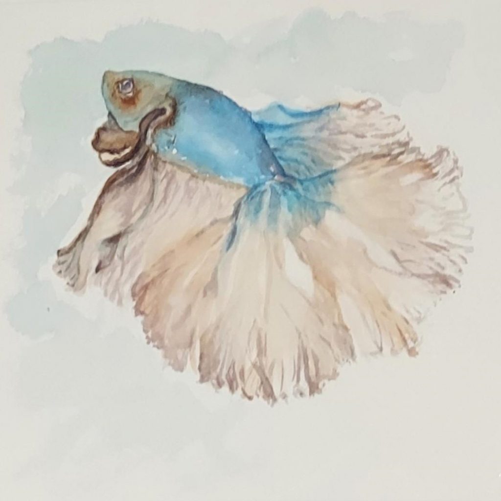 Susan McLaren, Blue Fish