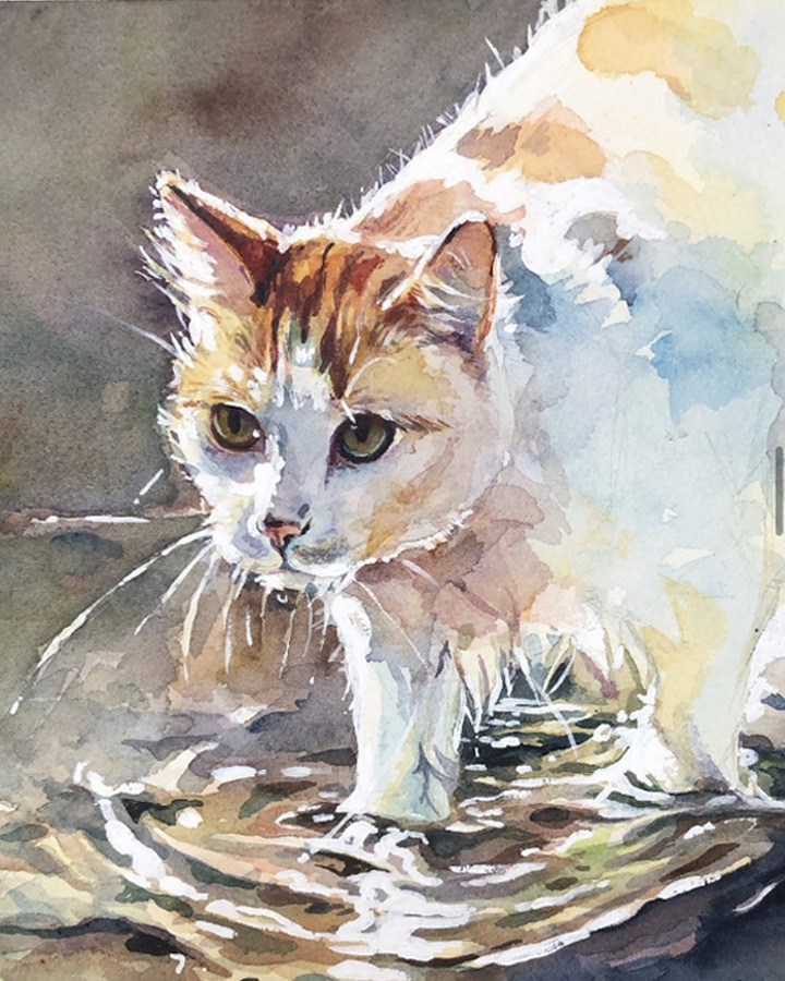 Rebecca Bradbury, Cat Dip