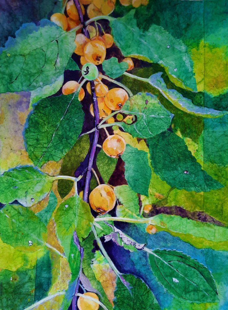 Beth Rodgers, Crabapples 3