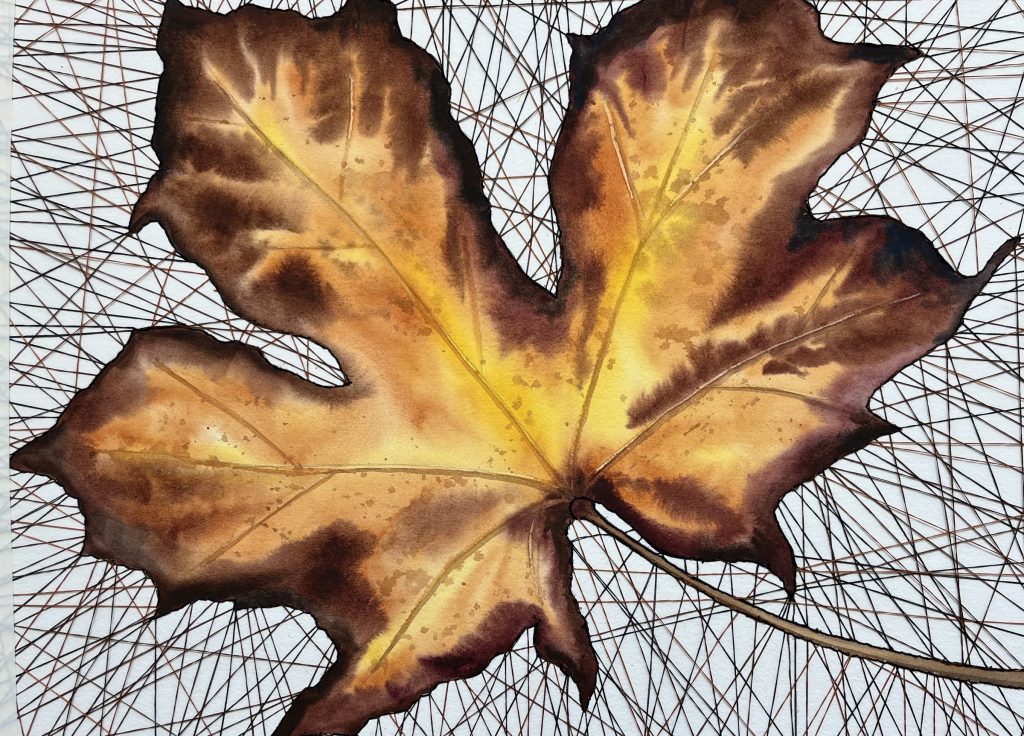 Patricia Carr, Captured Leaf, 30x25x2, $650