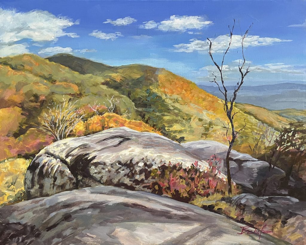 Jane Schafer, Blue Ridge Vista, 22x18x1.5, $450