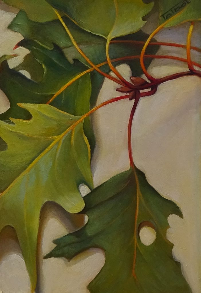 Susan Talbot-Elliot, Gift of The Mighty Oak, Oak Branch, 14x16x2, NFS