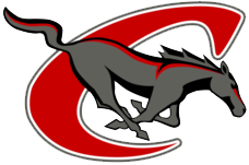 chisum logo