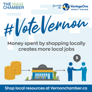 Vote Vernon local jobs infographic