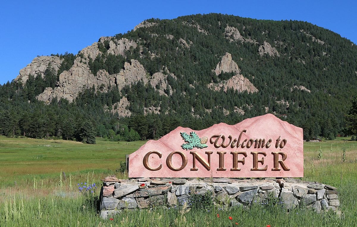 Florist Conifer Co