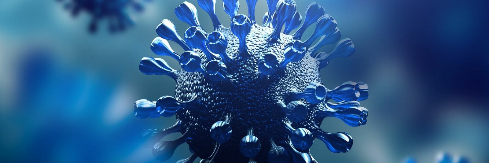 Home Aurora Chamber of Commerce ON