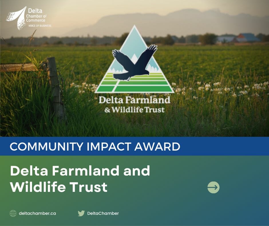 Community impact award, delta community impact, impact award, community award impact