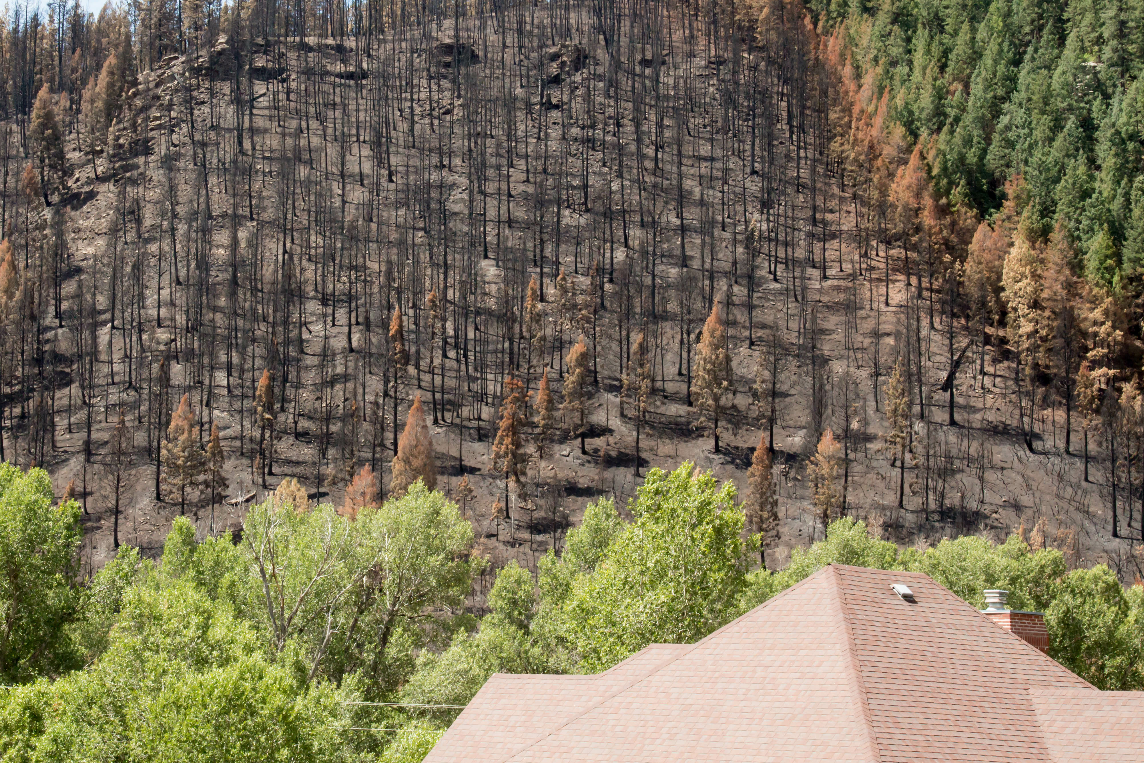 Home spared by wildfire. Burned trees in background.