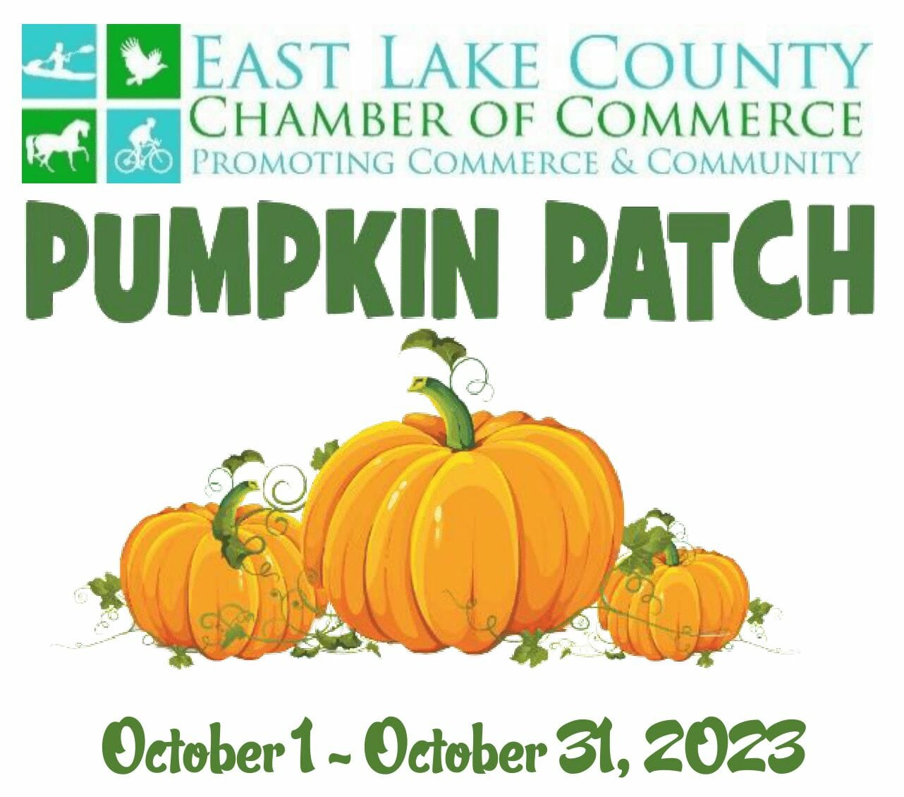 Pumpkin Patch - 2023
