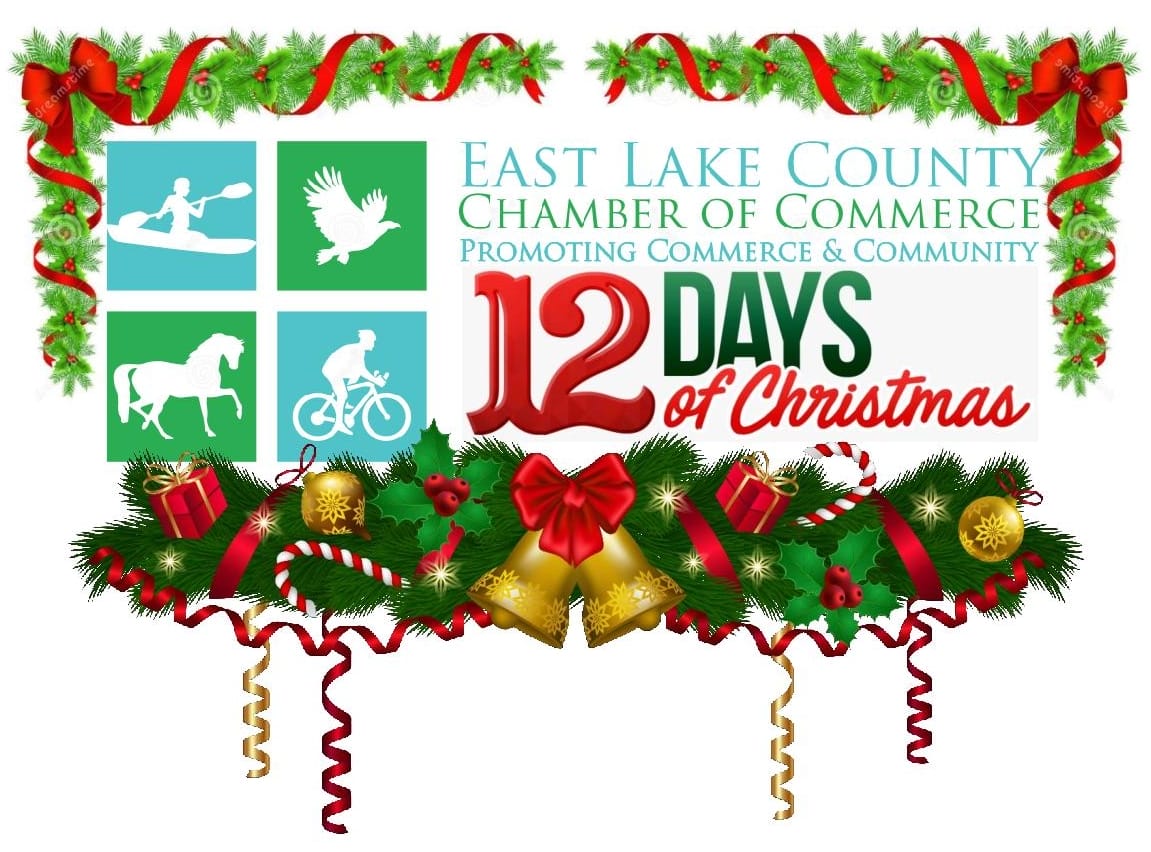 12 Days Of Christmas!