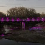 bridge illuminated in purple