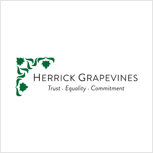 Herrick Grapevines