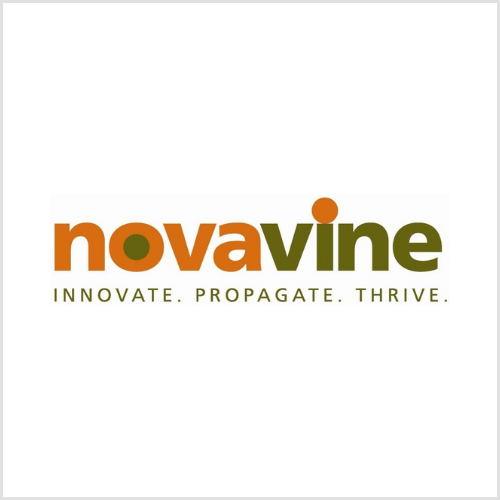 Noravine