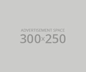 300 300