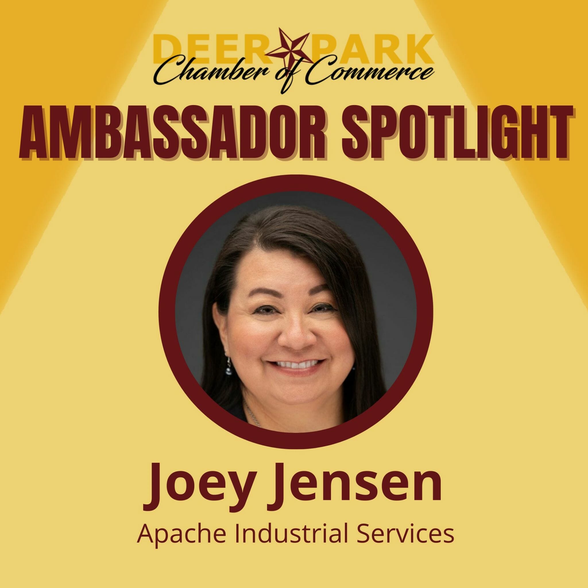 Ambassador Spotlight Deer Park Chamber of Commerce TX