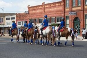 parade 5 parade 5