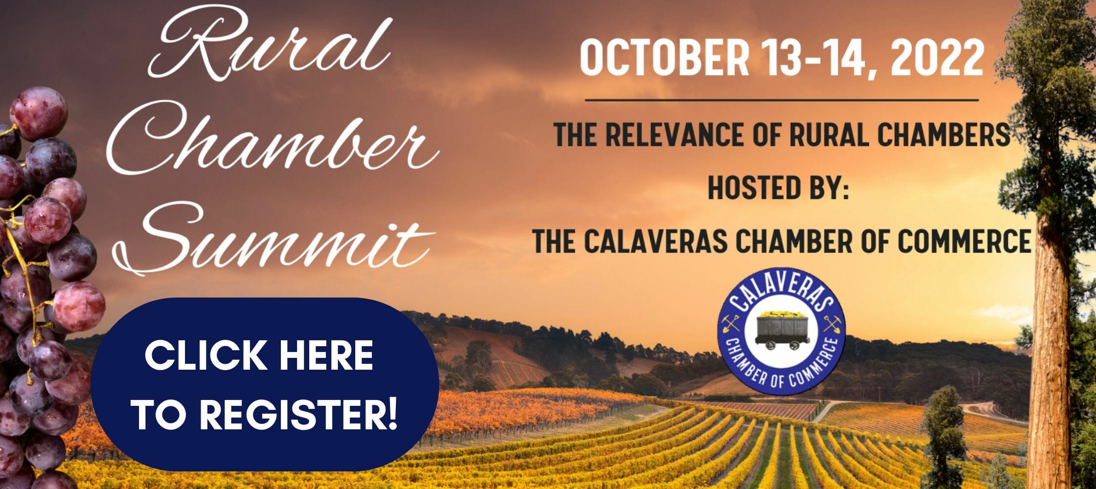 Rural Chamber Summit (Website) (3)