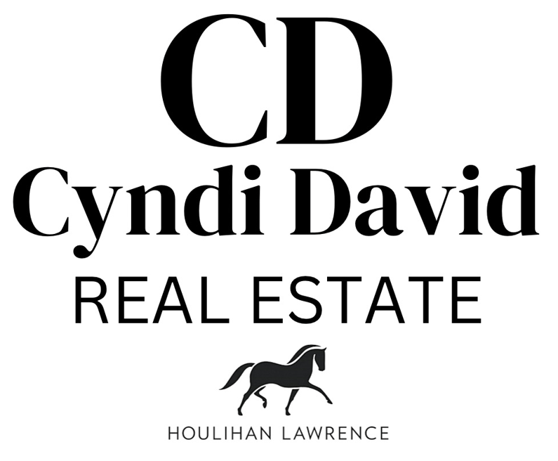 Cyndi David Real Estate
