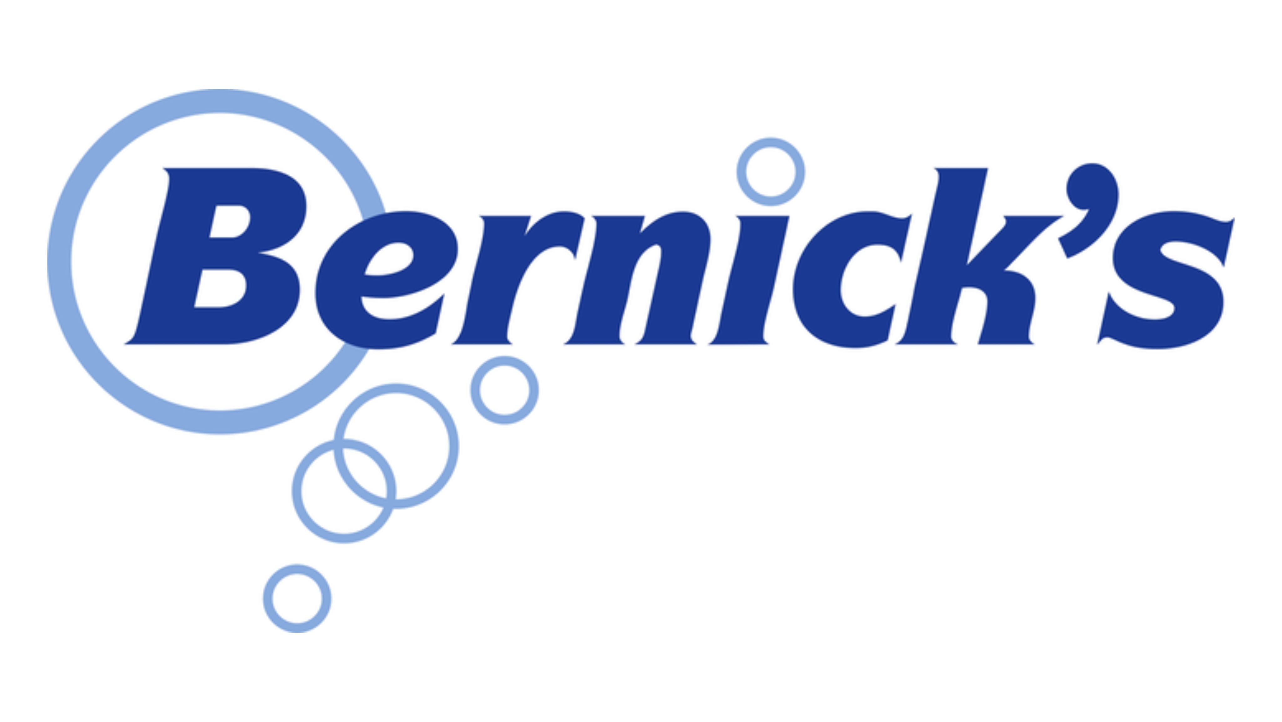 Website Logos Bernicks
