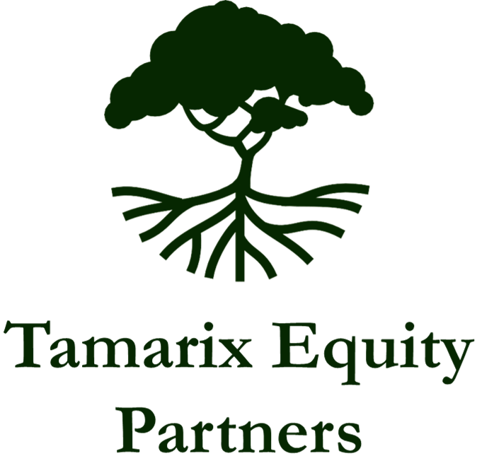 Tamarix Equity Partners (Logo) (1)